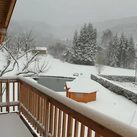 Chalet Centauree - Remy Herold Xonrupt-Longemer