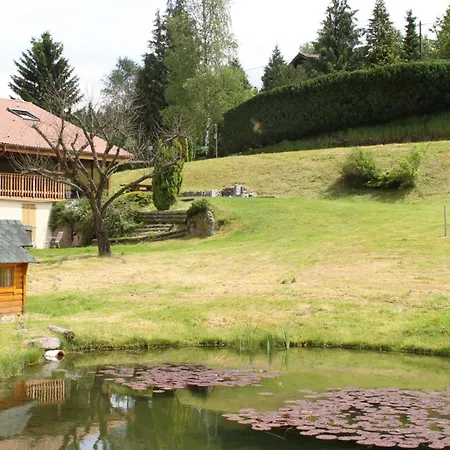 Centaurée - Rémy Herold * Xonrupt-Longemer