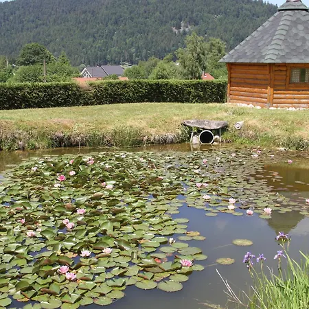 Centaurée - Rémy Herold Xonrupt-Longemer