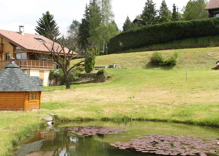 Centaurée - Rémy Herold * Xonrupt-Longemer