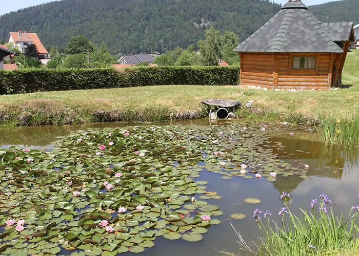 Centaurée - Rémy Herold Xonrupt-Longemer